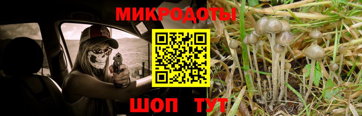наркота  Галлюциногенные грибы Psilocybe  Вход с VPN  Лесной 
