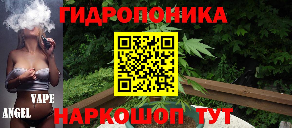 МАРИХУАНА план  Каннабис ГИДРОПОН  Вход с VPN  Лесной  Канабис план 